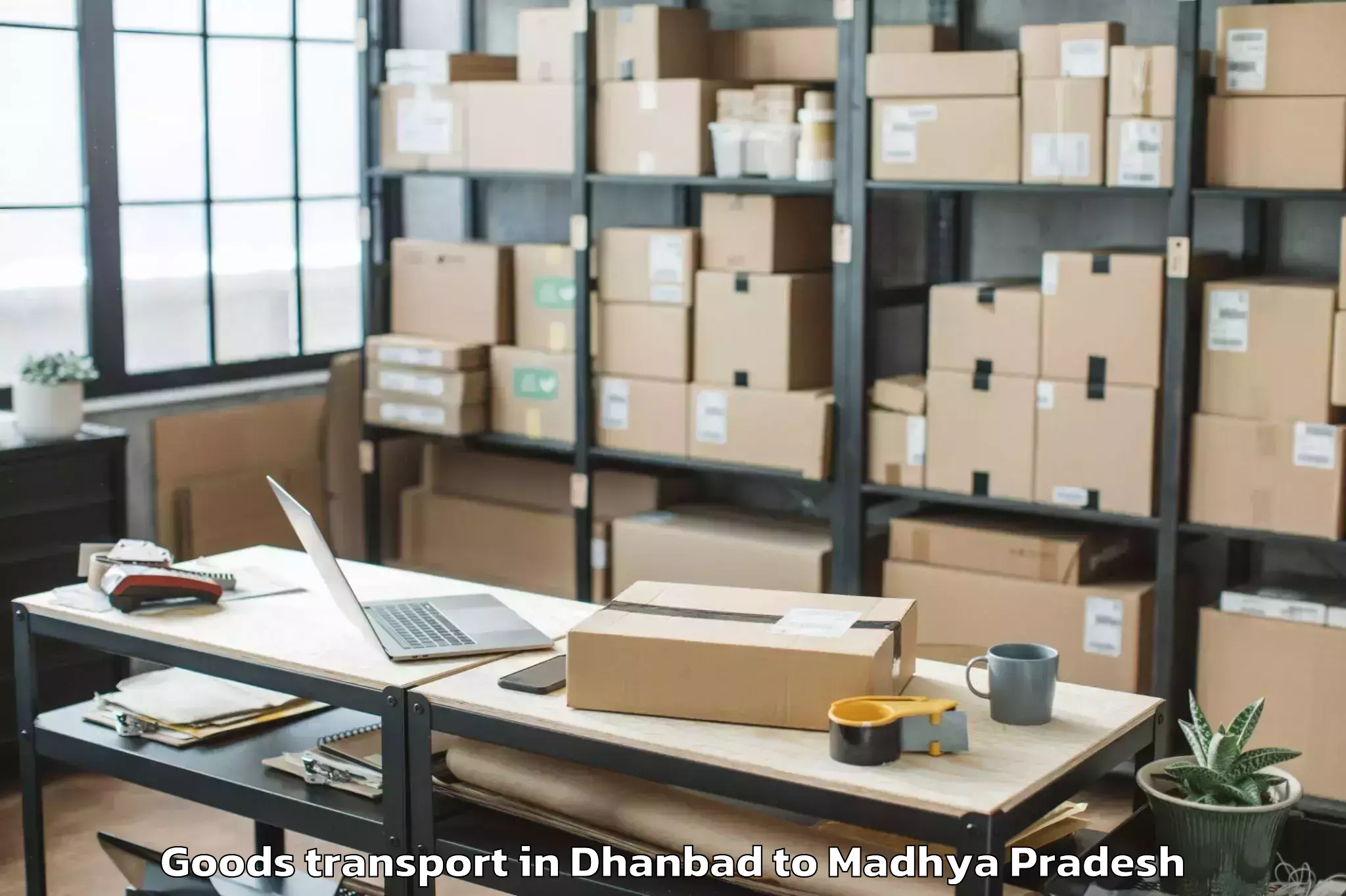 Reliable Dhanbad to Jawad Neemuch Goods Transport